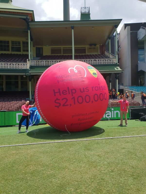 Cricket-ball-fundraising-target